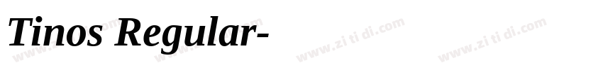 Tinos Regular字体转换